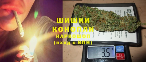 сатива Беломорск