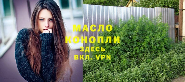 сатива Беломорск