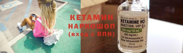 сатива Беломорск