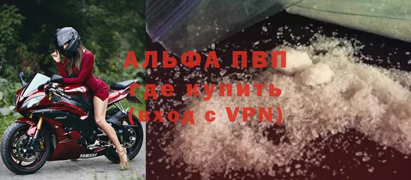 сатива Беломорск