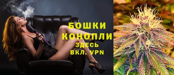 сатива Беломорск