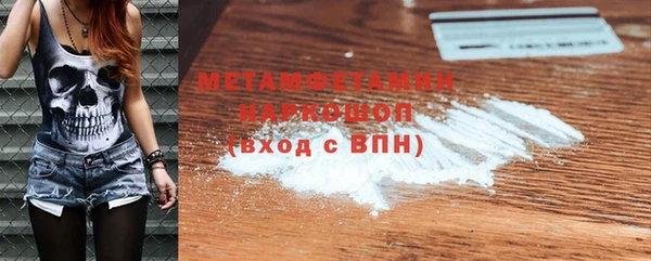 сатива Беломорск