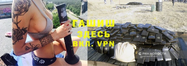 сатива Беломорск